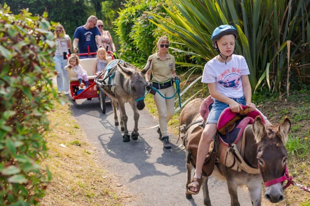 balade anes camping du goulet